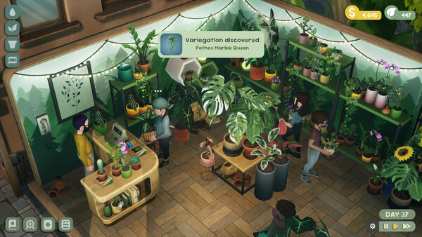 A variegated Pothos Marble Queen discovery notification inside a Leafy Corner shop